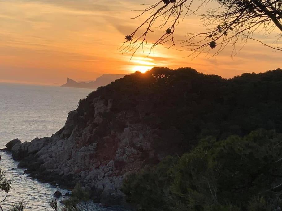 Athena Ohana, Les Pieds Dans L'Eau Bandol Dış mekan fotoğraf
